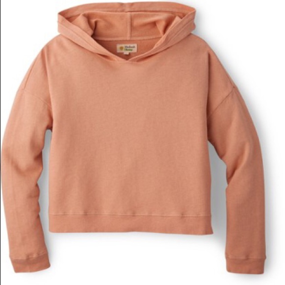 Mollusk Cropped Hoodie